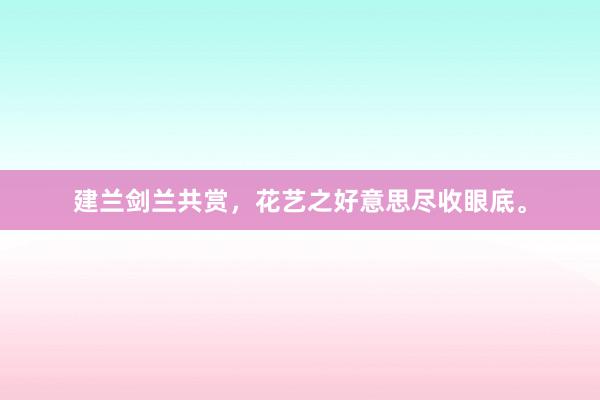 建兰剑兰共赏，花艺之好意思尽收眼底。
