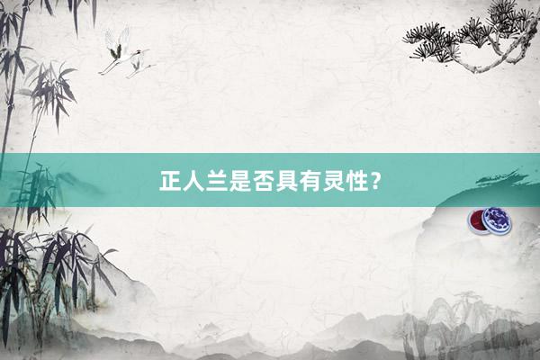正人兰是否具有灵性？