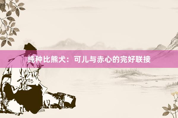 纯种比熊犬：可儿与赤心的完好联接
