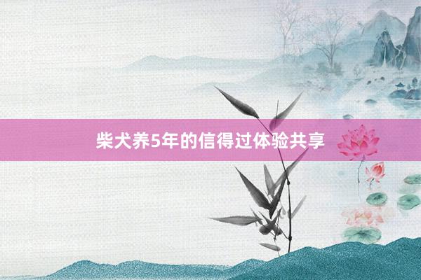 柴犬养5年的信得过体验共享