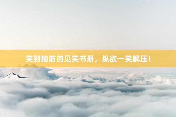笑到抽筋的见笑书册，纵欲一笑解压！